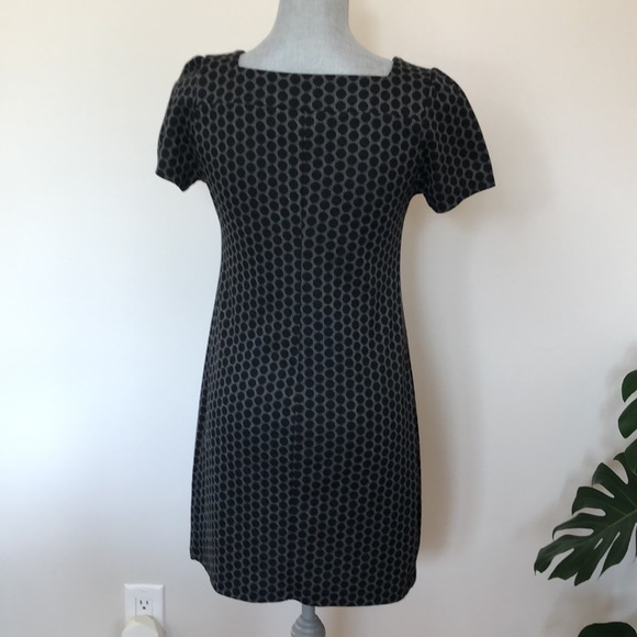NWOT EnFocus Studio short sleeve dress. Size 4. - Picture 4 of 4
